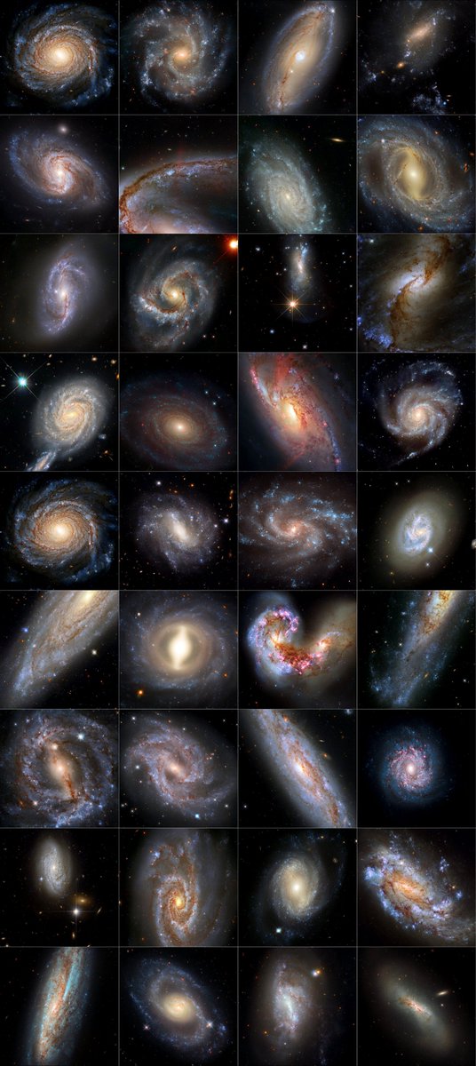 Space 8K tweet media