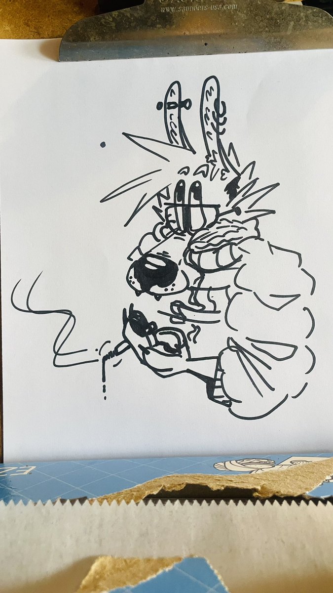 Taleu 🐕 tweet media