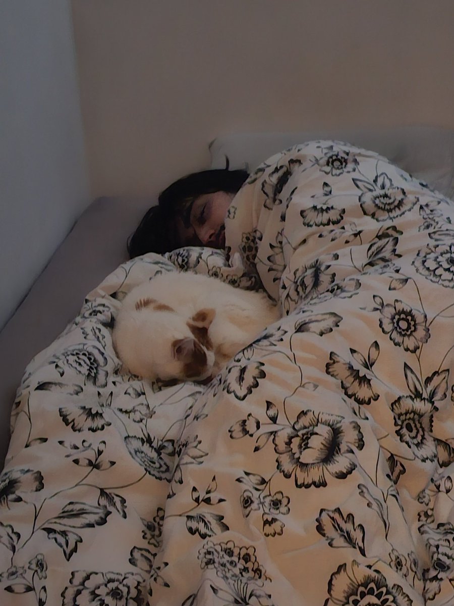 Langt fra gjennomsnittlig gjennomsnittsmann tweet media