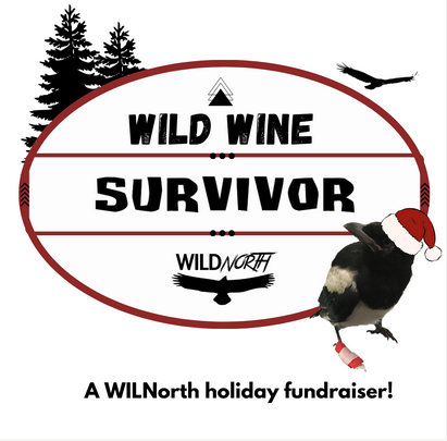 WILDNorth tweet media