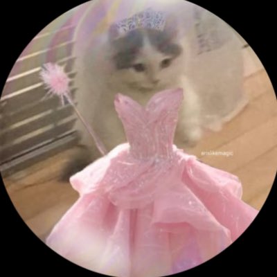 BellaAllen25's tweet photo. #NewProfilePic https://t.co/mUoNDrzWf0