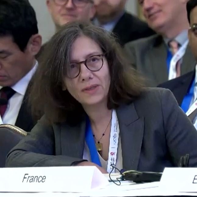 ✈️ Comme les pionniers de l’aviation, rêvons et repoussons les limites du possible ! 🌍

80 ans après la signature de la Convention de Chicago, la France reste engagée aux côtés de l’OACI pour relever les défis à venir : décarbonation, innovation, sécurité #ICAO80