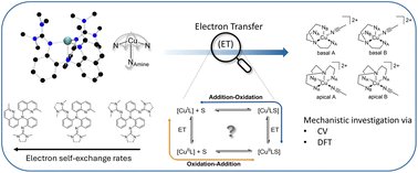 News from #bioinorganics: #Electrontransfer kinetics of a series of #copper complexes with tripodal tetradentate guanidine quinolinyl ligands <a href="/DaltonTrans/">DaltonTransactions</a> pubs.rsc.org/en/Content/Art… 
#FAIRdata <a href="/RADAR_Service/">RADAR</a> : radar-service.eu/radar/en/datas… and in the Chemotion Repo <a href="/NFDI4Chem/">NFDI4Chem</a>