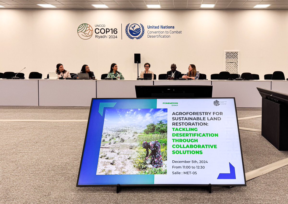 OCPGroup's tweet photo. Day 2⃣ at #COP16Riyadh!

At today’s side event, "Agroforestry for Sustainable Land Restoration," #OCPFoundation showcased how agroforestry can help combat desertification and restore degraded landscapes. 🌱

#COP16 #OurLandOurFuture https://t.co/OWFtIWT5yP