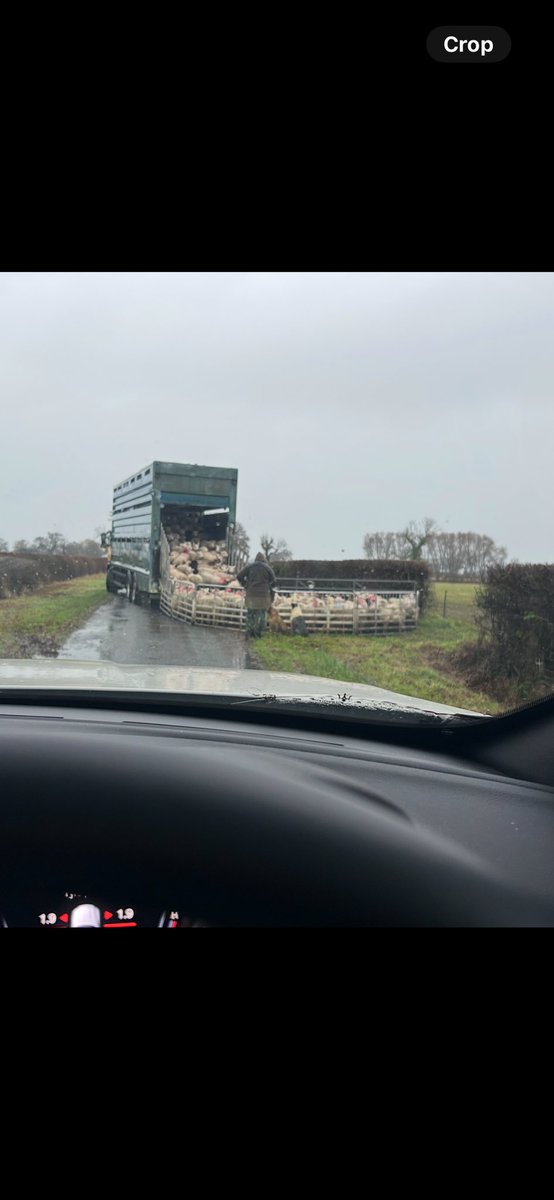 Typical traffic on the school run…