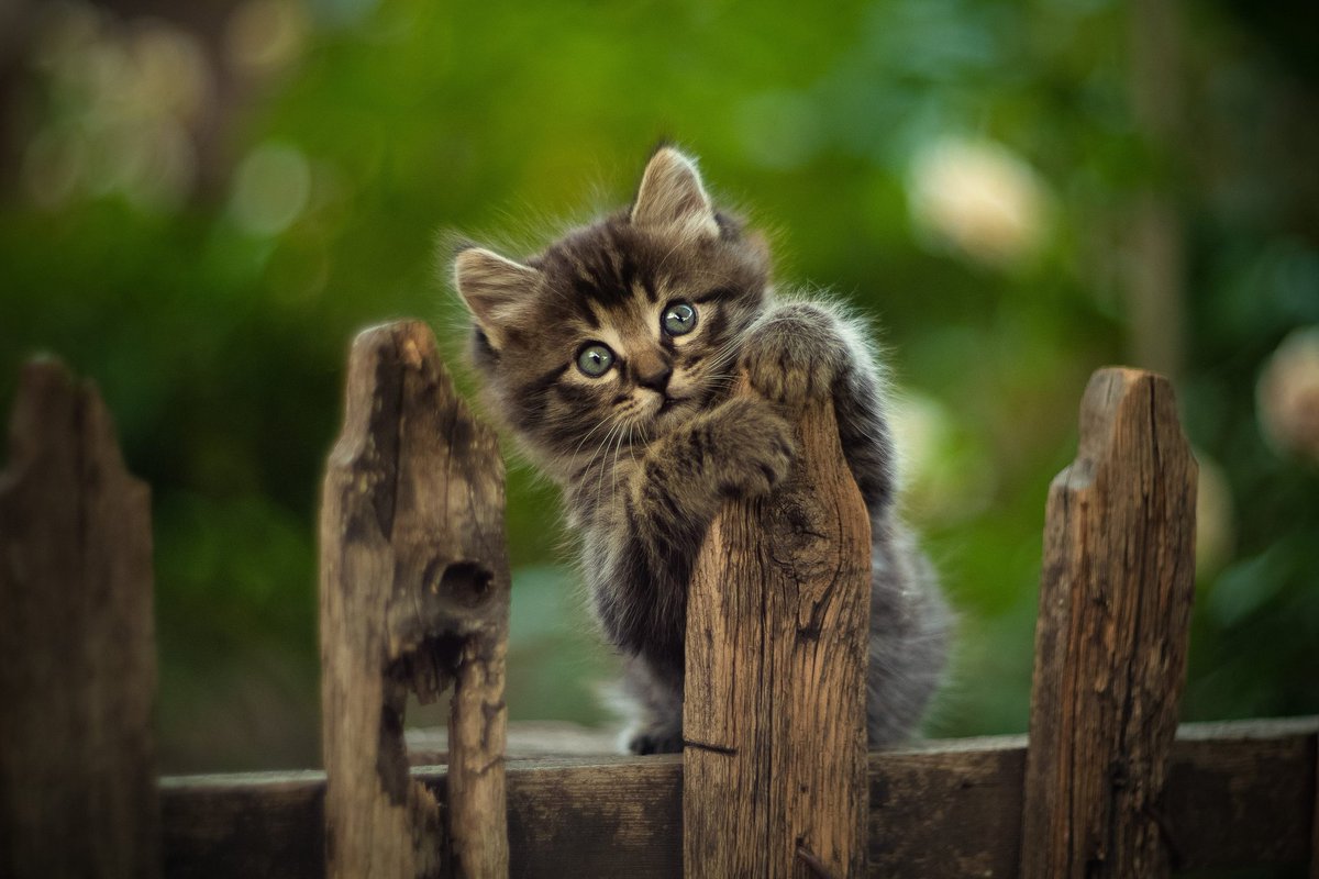 څوٌٱطُـږ مُڹټﮧى ٱڷڝڍڦ 💙 (@aa12564) on Twitter photo 