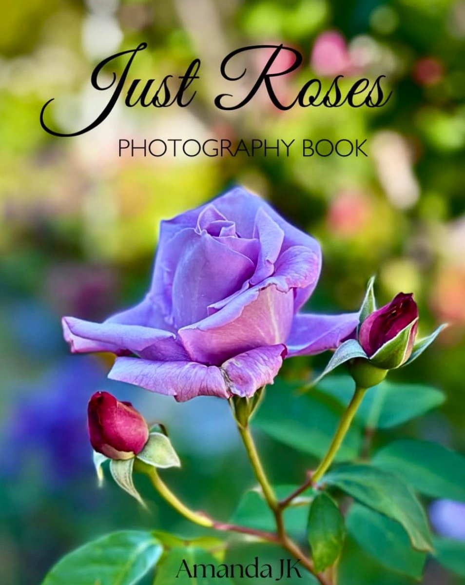 AmandaJK_'s tweet image. ✨Available now✨

All new Photography Books
A collection of my favourite photos now available for you

Magical Sunsets
Dive into a collection of Australia&apos;s most stunning dusk scenes. Each photograph is an invitation to tranquility, where the unique Australian skies melt away…