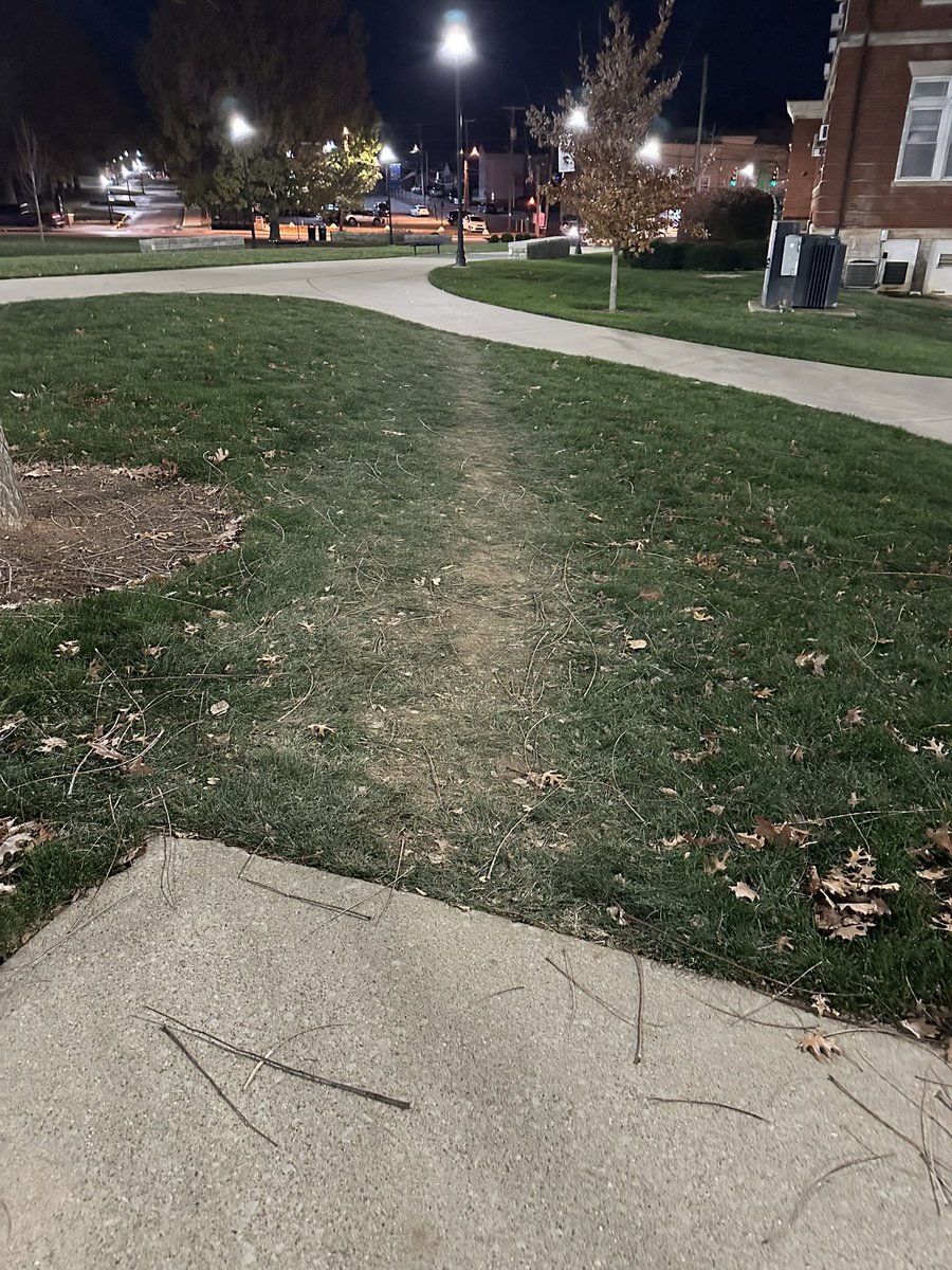 Dudley Sparrington tweet media