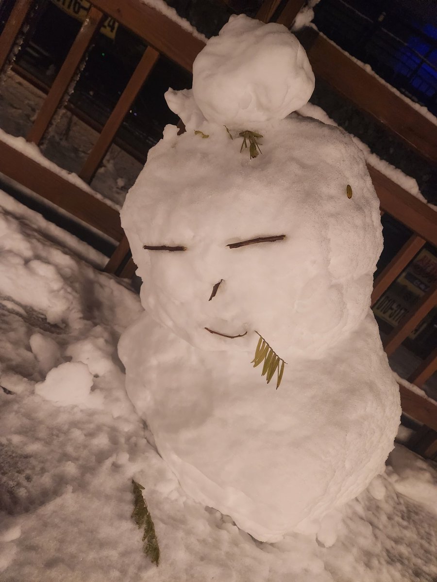 Hennessy_______'s tweet photo. 先週の雪、とても綺麗でした 
ฅ՞•ﻌ•՞ฅ https://t.co/us6xLbOeT1