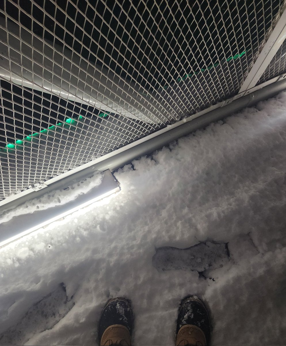 Hennessy_______'s tweet photo. 先週の雪、とても綺麗でした 
ฅ՞•ﻌ•՞ฅ https://t.co/us6xLbOeT1