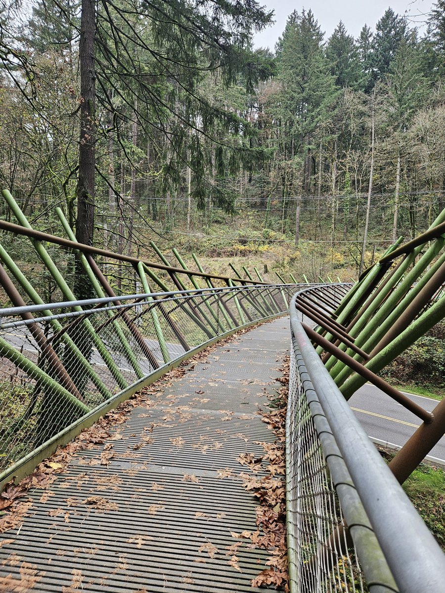 spookynae7's tweet photo. Sometimes a #hike can fix a lot. #letsexplore https://t.co/zWT6cobDOX