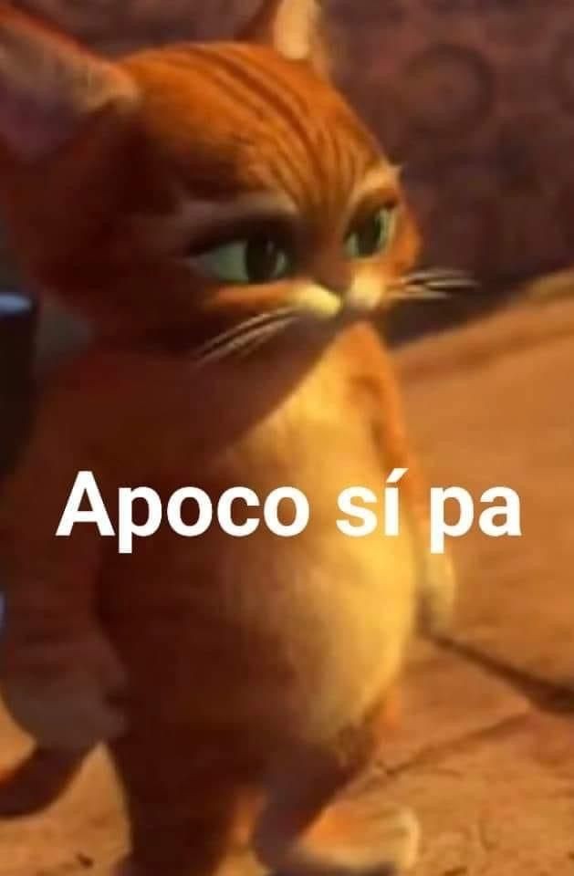 Ari tweet media