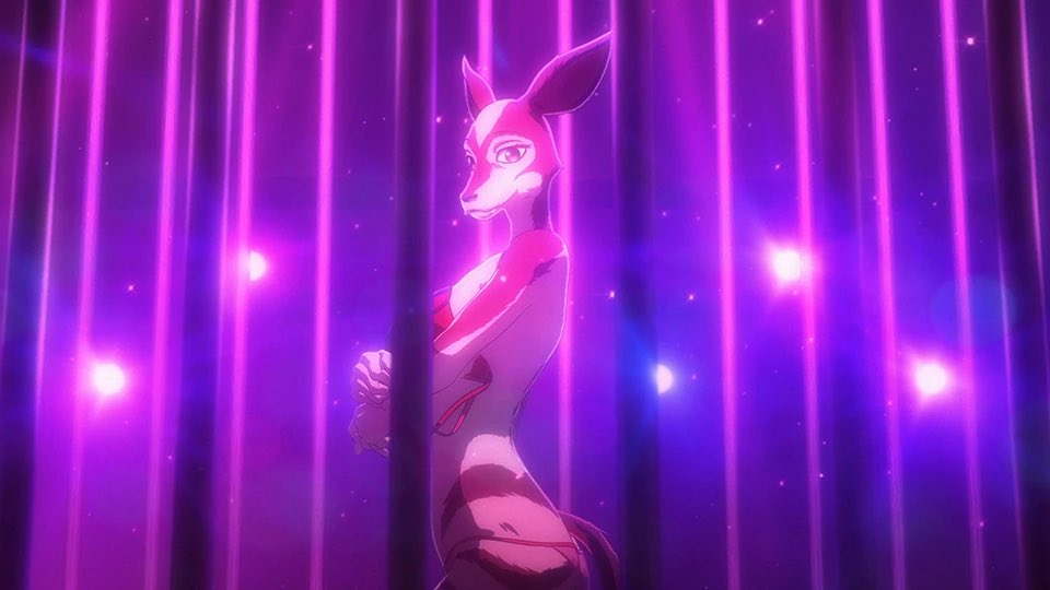 Not in the fucking bingo card Beastars S3 edition 