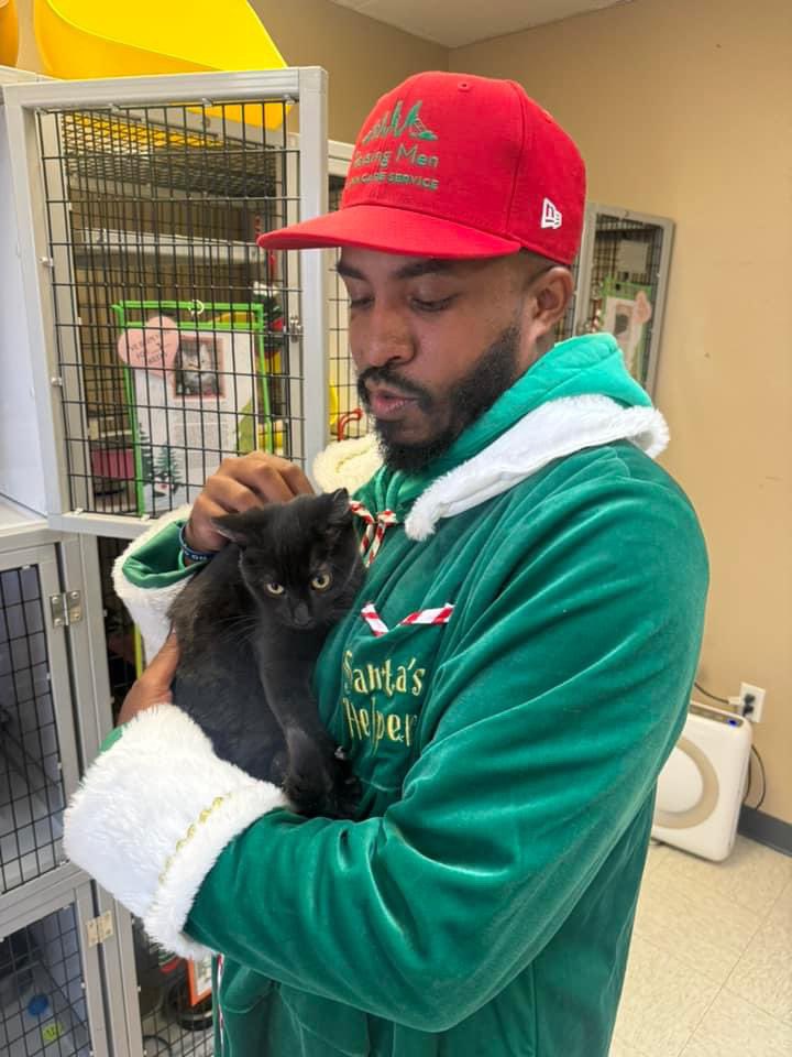 iamrodneysmith's tweet image. Meet my three new friends, each waiting for their forever home. Cinnamon, a sweet and playful 10-week-old puppy, is ready to bring joy to a loving family. Ham, a gentle 3-month-old black kitten, has been waiting for seven weeks for someone to take her home. And Chuco, a big,…