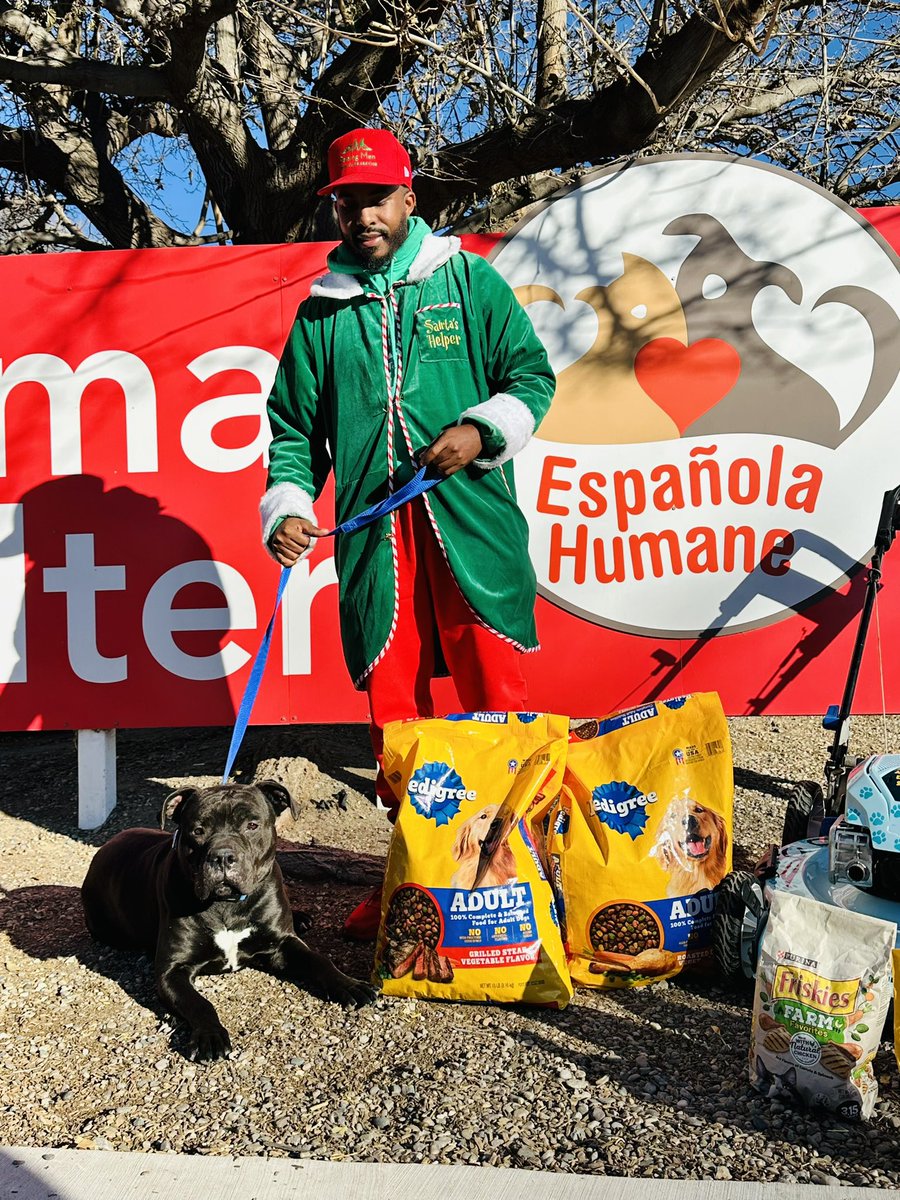 iamrodneysmith's tweet image. Meet my three new friends, each waiting for their forever home. Cinnamon, a sweet and playful 10-week-old puppy, is ready to bring joy to a loving family. Ham, a gentle 3-month-old black kitten, has been waiting for seven weeks for someone to take her home. And Chuco, a big,…