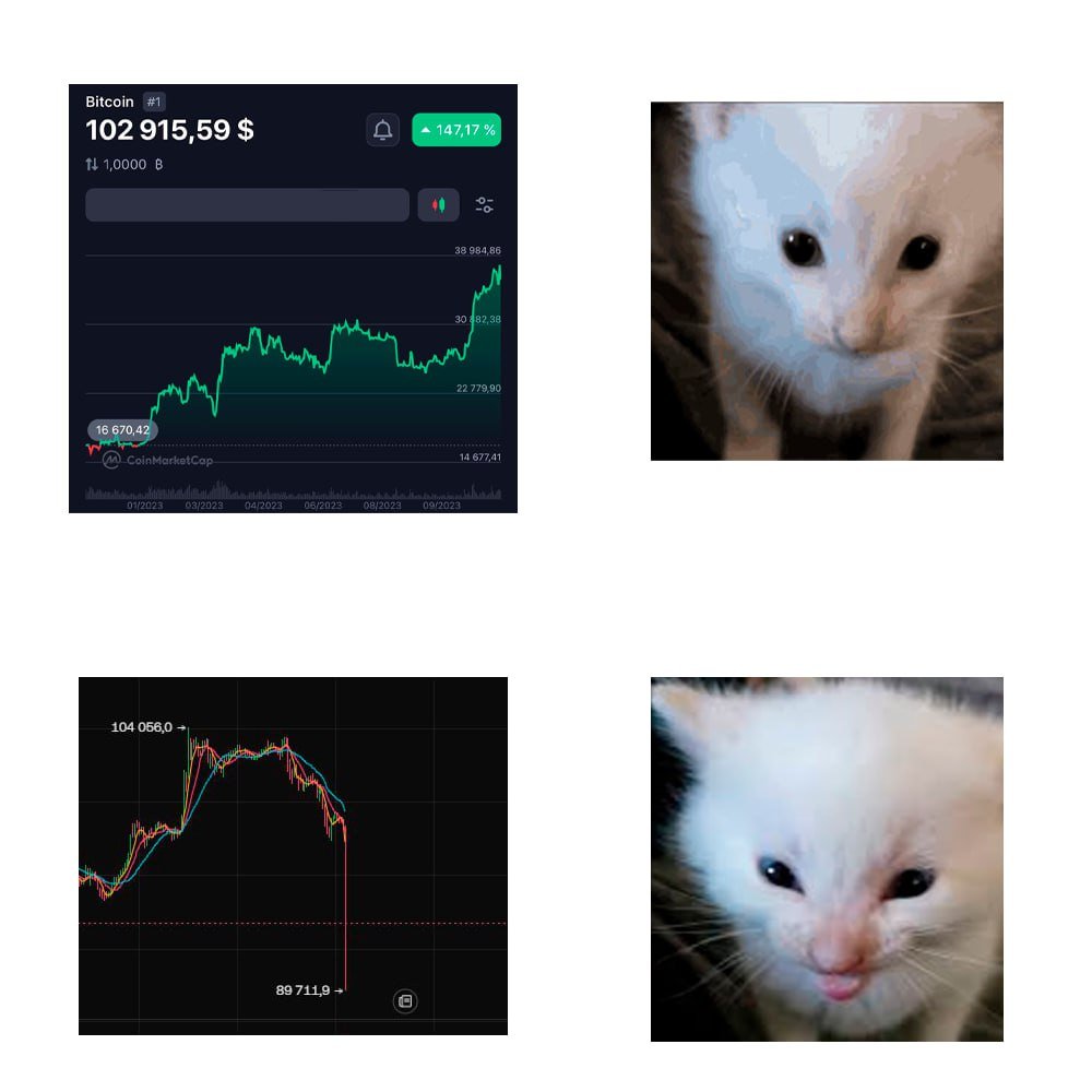 Hi Herbert | $HERBERT tweet media