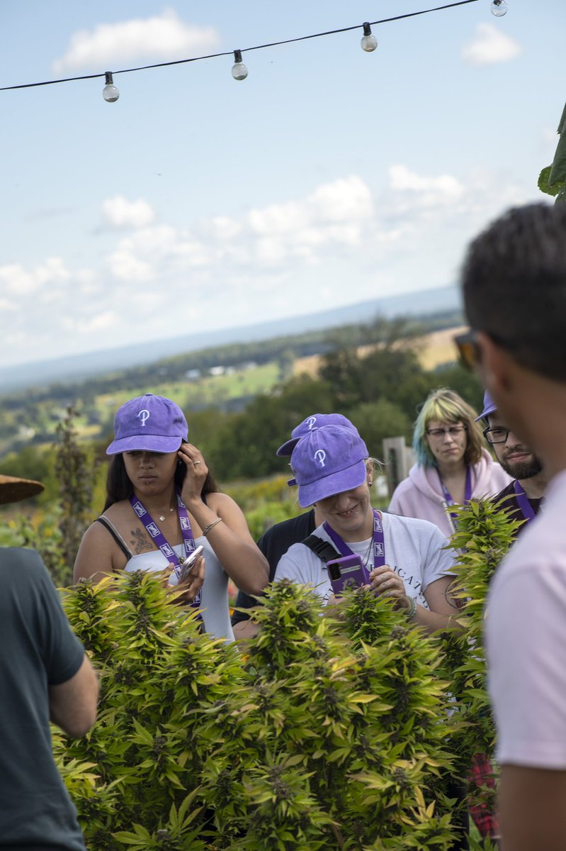 x_bakedwitch's tweet image. We finally got our pictures from the Purple Hills tour! 💜 #budtenderlife