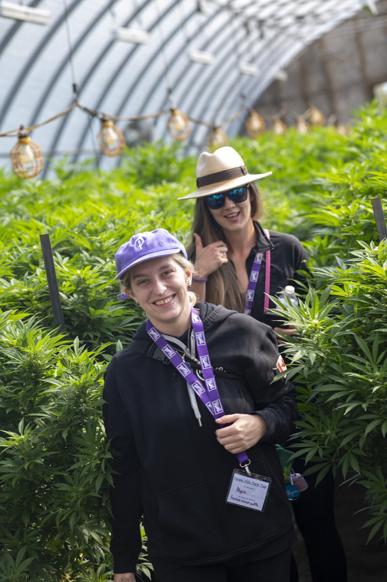 x_bakedwitch's tweet image. We finally got our pictures from the Purple Hills tour! 💜 #budtenderlife