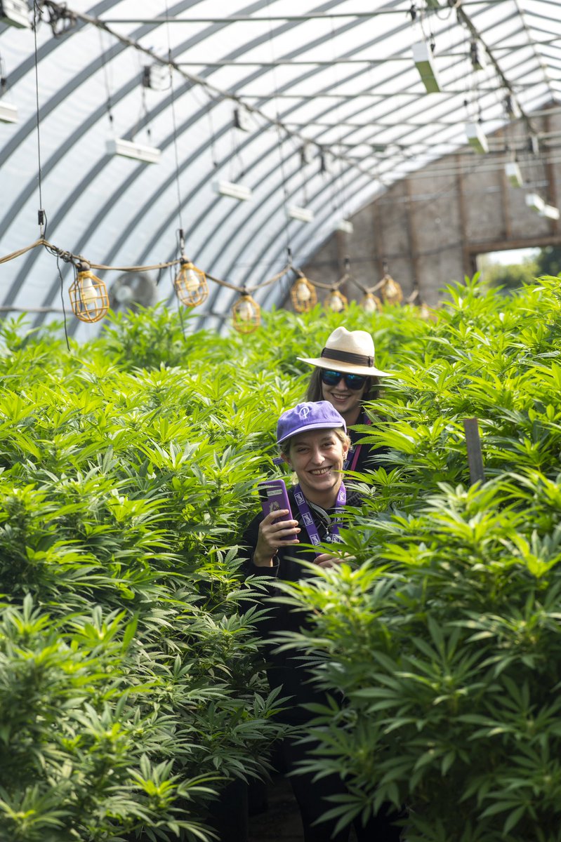 x_bakedwitch's tweet image. We finally got our pictures from the Purple Hills tour! 💜 #budtenderlife