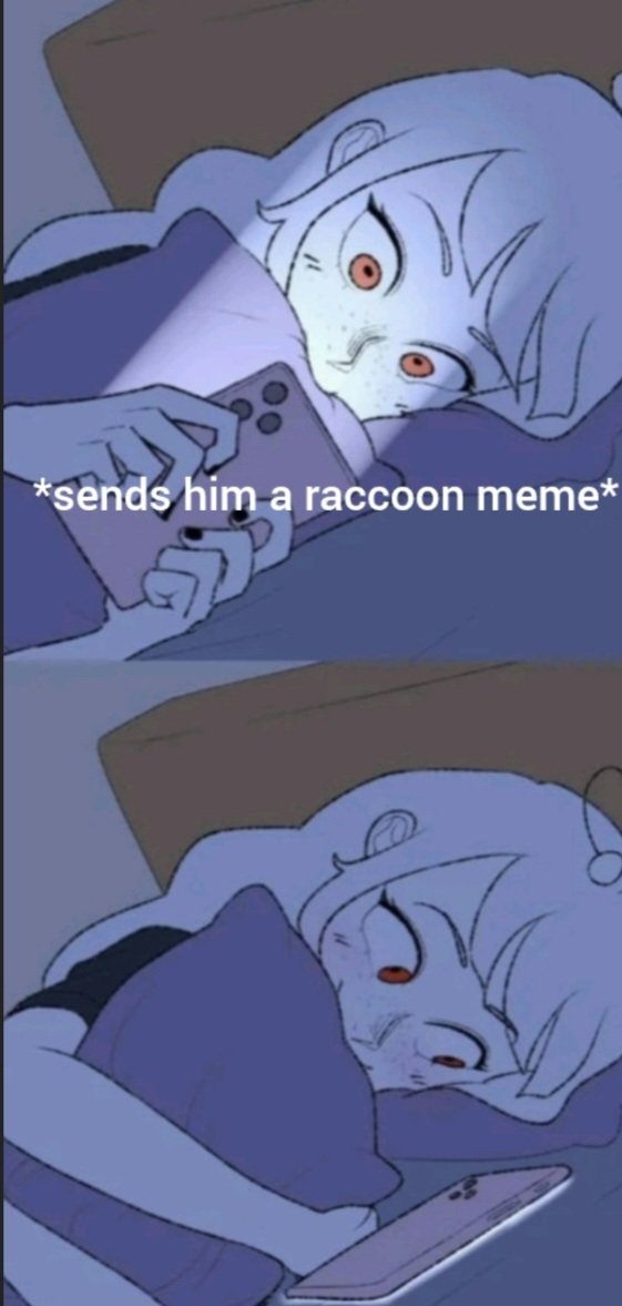 Why you should have a Raccoon tweet media