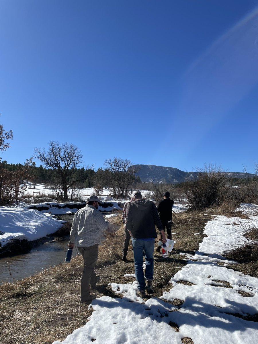 TroutUnlimited's tweet photo. In late November, TU joined staff from @SenatorHeinrich and @tpl_org for a tour of the amazing restoration work that Hermit’s Peak Watershed Alliance is doing on the Sapello River at the Pritzlaff Ranch. https://t.co/9AcIUQeilK