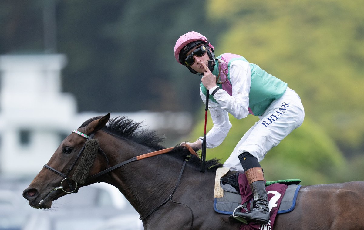 Juddmonte (@juddmontefarms) on Twitter photo BLUESTOCKING wins Horse of the Year at the <a href="/RacehorseOwners/">Racehorse Owners Association</a> Awards.
A phenomenal prize for a phenomenal mare. #Bluestocking BLUESTOCKING wins Horse of the Year at the <a href="/RacehorseOwners/">Racehorse Owners Association</a> Awards.
A phenomenal prize for a phenomenal mare. #Bluestocking