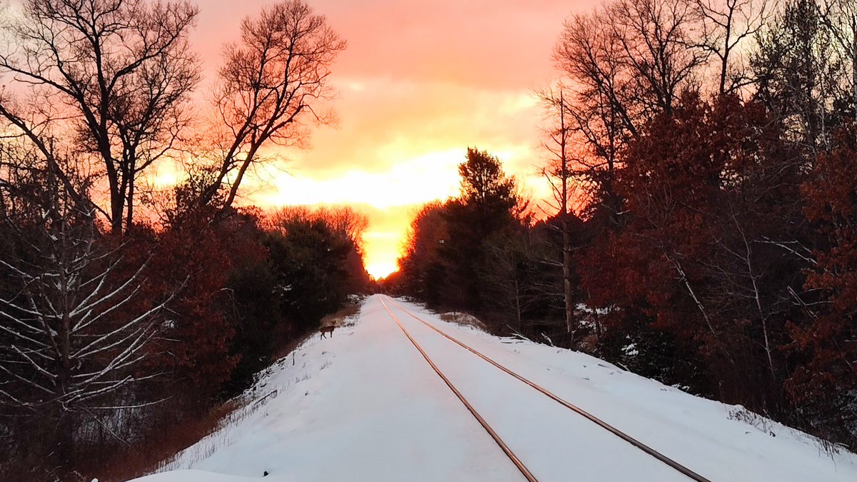 George Schroeder tweet media