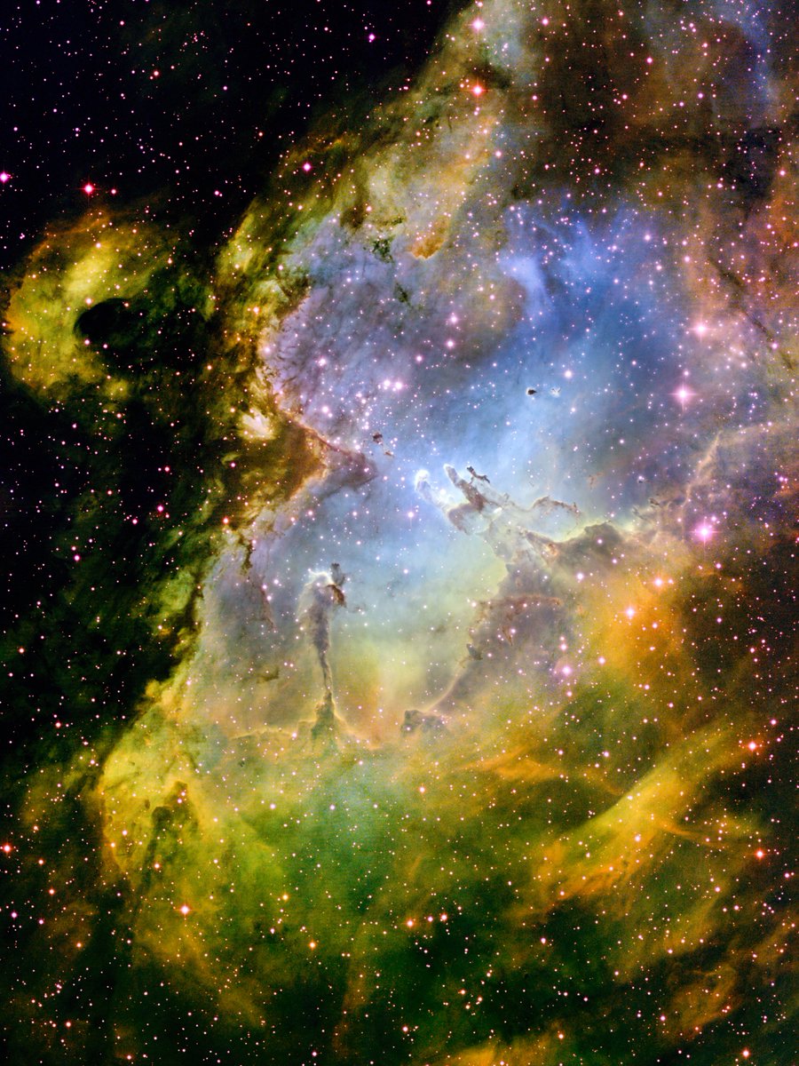 Space 8K tweet media