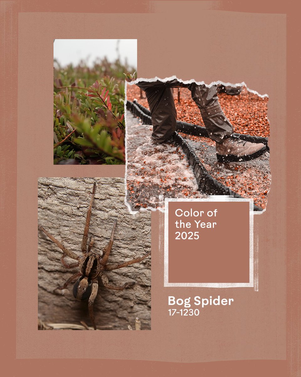 did the bog spiders choose this for <a href="/pantone/">PANTONE</a>?