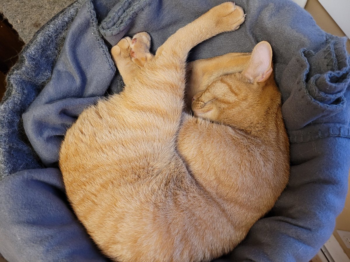 Beverley B 🇨🇦 tweet media