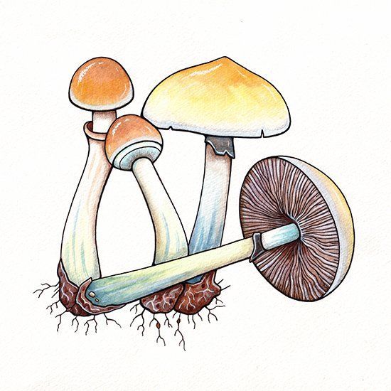 PRISM News tweet media