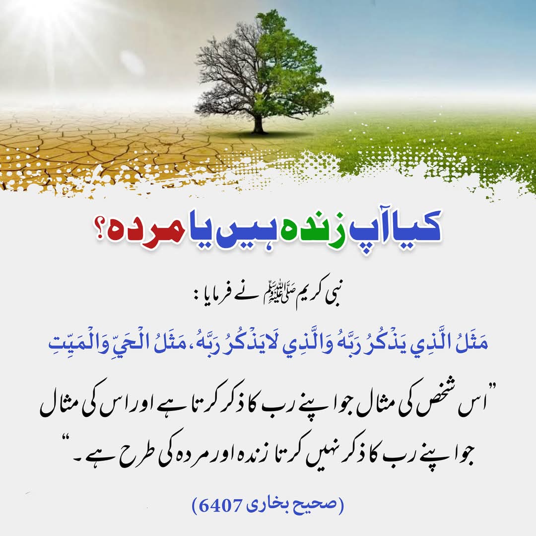 سعید الفت (@fj1g2jr6raa8svq) on Twitter photo 