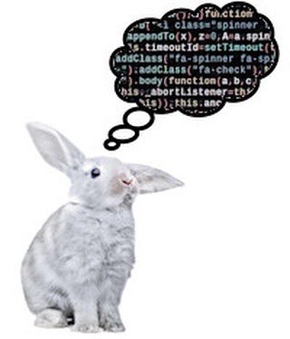 Bunnies's tweet photo. https://t.co/vz829D9THF