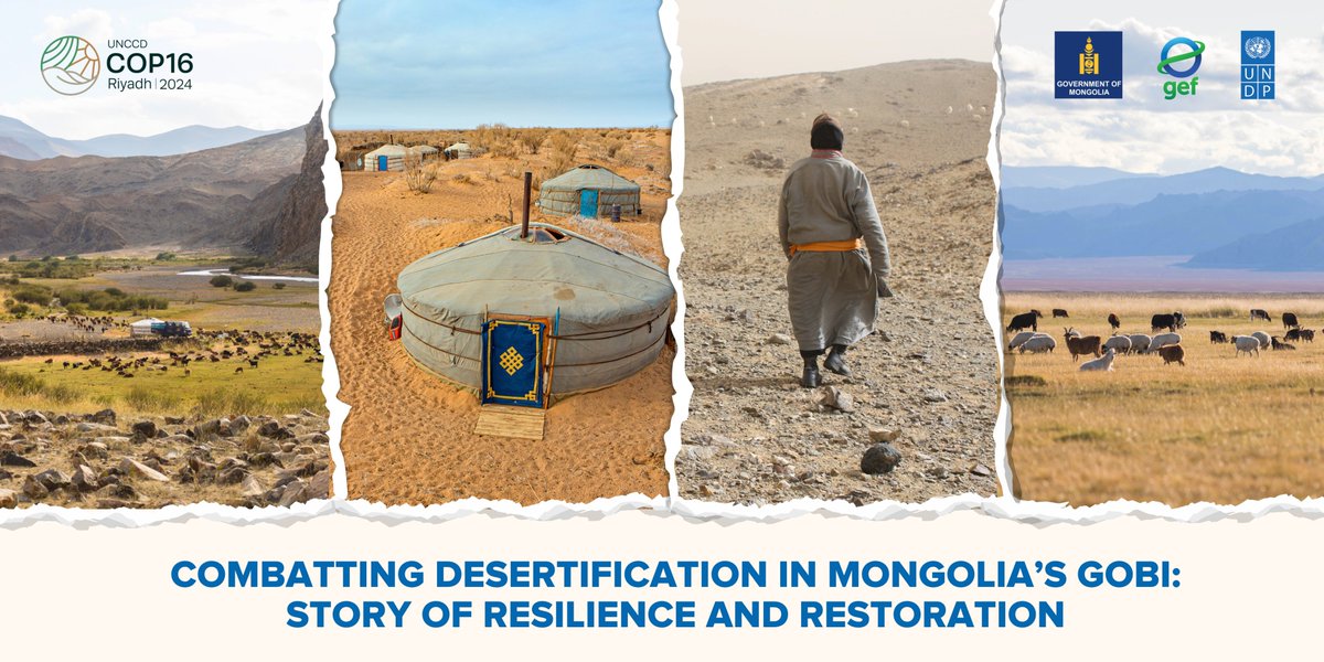 Kanni Wignaraja (@kanniwignaraja) on Twitter photo With🌍temperatures rising 2.26°C in 80 years and 76.9% of Mongolia's land facing degradation, the amazing #GobiDesert gives us some hope. As #COP16Riyadh addresses land restoration, Mongolia's experience offers valuable lessons. See how <a href="/theGEF/">Global Environment Facility (GEF)</a>, <a href="/MECCMongolia/">БАЙГАЛЬ ОРЧИН, УУР АМЬСГАЛЫН ӨӨРЧЛӨЛТИЙН ЯАМ</a> & <a href="/UNDP/">UN Development</a> are driving With🌍temperatures rising 2.26°C in 80 years and 76.9% of Mongolia's land facing degradation, the amazing #GobiDesert gives us some hope. As #COP16Riyadh addresses land restoration, Mongolia's experience offers valuable lessons. See how <a href="/theGEF/">Global Environment Facility (GEF)</a>, <a href="/MECCMongolia/">БАЙГАЛЬ ОРЧИН, УУР АМЬСГАЛЫН ӨӨРЧЛӨЛТИЙН ЯАМ</a> & <a href="/UNDP/">UN Development</a> are driving