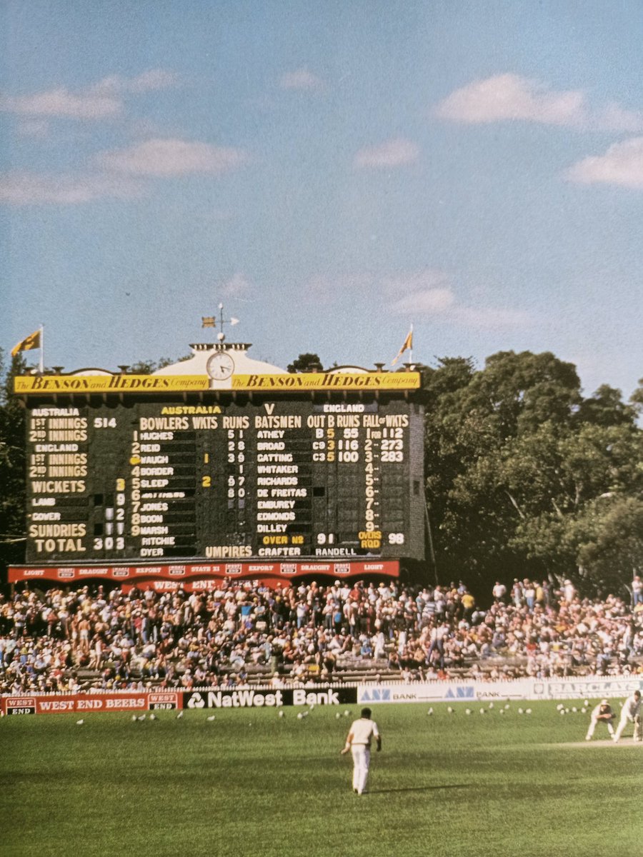 LeagueTees's tweet photo. Good morning Adelaide https://t.co/B1y7IqDD9o