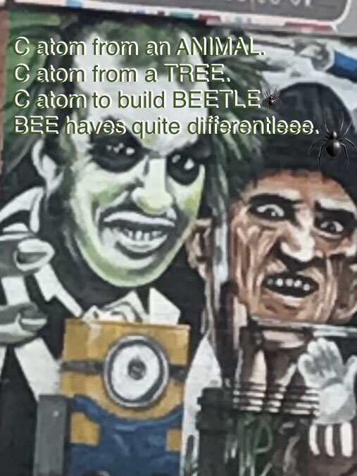ConnectedbyChe1's tweet photo. @BadBadTeacher1 @BlowtheB @yukinakaga45674 @OfRoark @mkazemi458 @FantasticFun_RP @Donyell35B @MrStenstrom @34Ce2M45pLFPK3u @Sam_jamoncito @loantraining @Bdehrioglu @AyusoGaroz @Muklis49394540 @XtramidCharles @CosmopolitanTan @MelonPerson @AmbatiRajan @IuckycIobear @_donotorder @youneedpaper @back_copy @WilsonSpiegel https://t.co/6JgSU5NOoT

https://t.co/yxW8KqoIKs

🧬

@melitairving 
@PolymeliaBand 
@ChildrensHD 
@childrensbones 
#Ca_MOLECULAR_MEMORY 

🌊 

Chemical element,
Letter C.
Live organic,
Chem-is-TREE.

🌲 

Constantly moving,
Moment to moment.
LIFE on EARTH,
VITAL COMPONENT. 

🌊 https://t.co/Cl2nOPD5hv