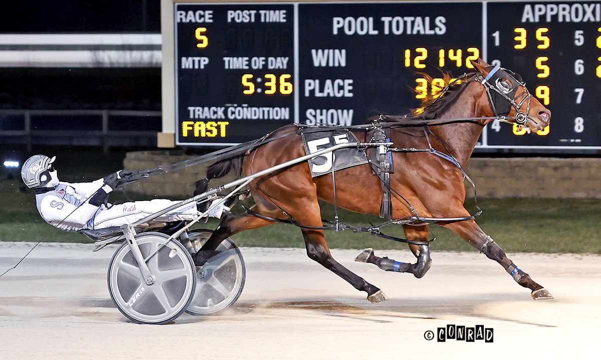 Bradley Conrad tweet media