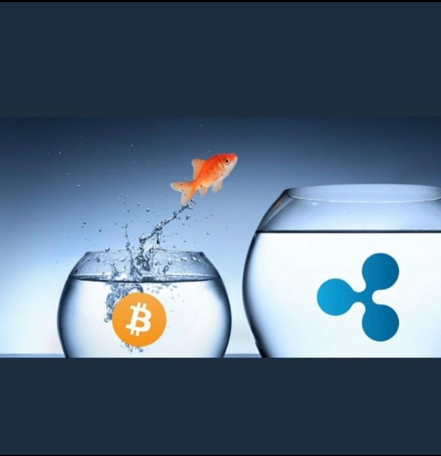 Are you seeing this image?

Yes, it will unfold before your eyes.

#XRP