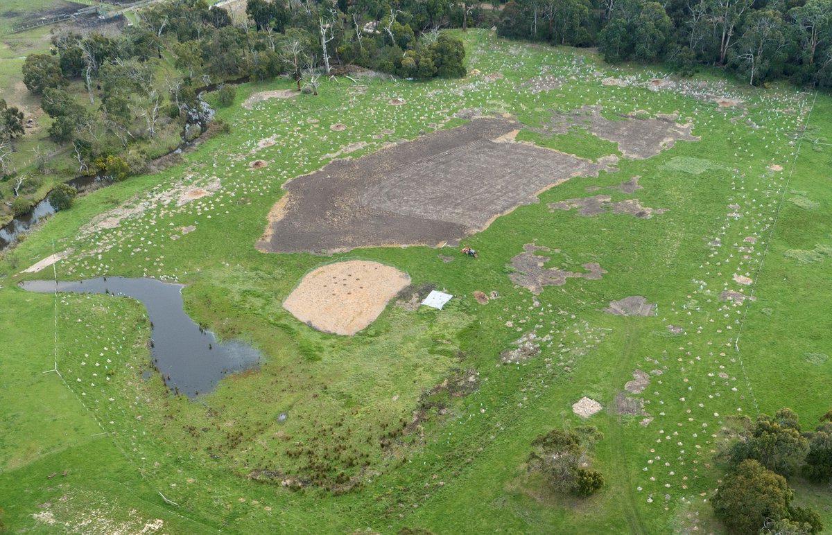Check out this transformation! 

Mick and Jacinta bought their property on the Surf Coast just five years ago, and with the help of a whole community they have restored it to thriving habitat.

Read more in the latest issue of Landcare in Focus: landcareaustralia.org.au/resources/publ…
