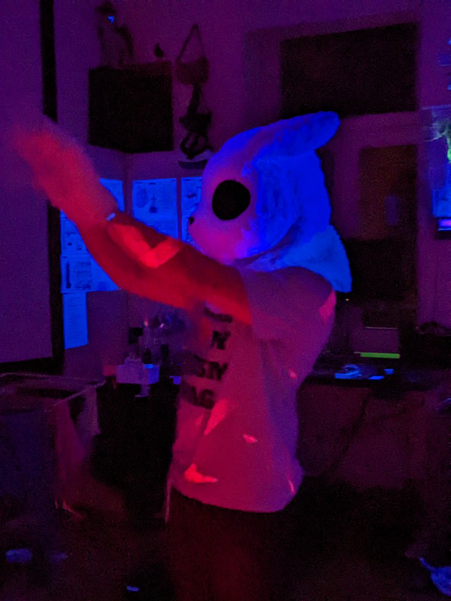 SamArteWorks's tweet photo. Girls love my ✨fluorescence✨
#PhysicsFriday #FursuitFriday #RainWorld #SlugCat https://t.co/Q9XmkcWTMe