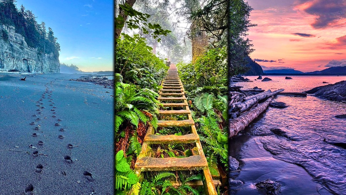 VISportsTalk's tweet photo. ๐ฒWest Coast Trail๐ฒ
Hiking Vancouver Island's Most Beautiful Backpacking Trails | #thecitylifeproject
๐บhttps://t.co/TYt7FvDdO2
#WestCoastTrail #trekking #backbacking #vancouverisland #westcoast #hikingadventures #hiking #trail #britishcolumbia #canada #bc #westcoasttrail #vlog https://t.co/K7j5g5Oizk