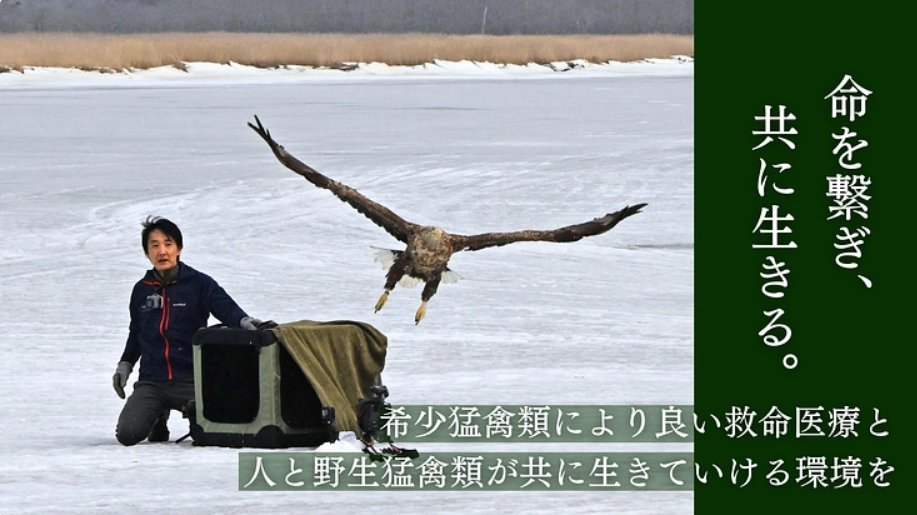 raptor_biomed's tweet photo. 【新しいクラファン 本日12月6日18時から開始！】

日頃より、「人と野生の猛禽類がより良い形で共生できる社会をつくる！」という私たちの想いに共感していただき心より御礼申し上げます。
この度、一羽でも多く傷ついた野生の猛禽類たちの命を救い、終生飼育されている猛禽たちが良好な環境で暮らしながら活躍の場を広げ、野に生きる猛禽たちが健全に暮らすことができるよう、新たなクラウドファンディングに挑戦させていただくことにいたしました。
内容の詳細につきましては、本日12月6日18時に公開されるプロジェクトページ上でご説明させていただきます。猛禽類医学研究所ならではの魅力的なリターン(返礼品)もたくさん用意しておりますので、野生猛禽類の現状と私たちの活動を広めていただくツールにして戴けますと嬉しく思います。

“命を繋ぎ、共に生きる。希少猛禽類により良い救命医療と共生環境を！”
プロジェクトページ：https://t.co/PkrlQobZSL

ご参加、応援、情報拡散、皆さまどうぞよろしくお願いいたします！
猛禽類医学研究所代表 齊藤慶輔

※私たちの近況やクラファンの詳細につきましては、12月7日(土曜日)20時30分からのYouTube Liveでも直接お話しさせていただきたいと思っております。
https://t.co/h1i7w5tLWT

#大いに拡散希望いたします #ご協力お願いいたします