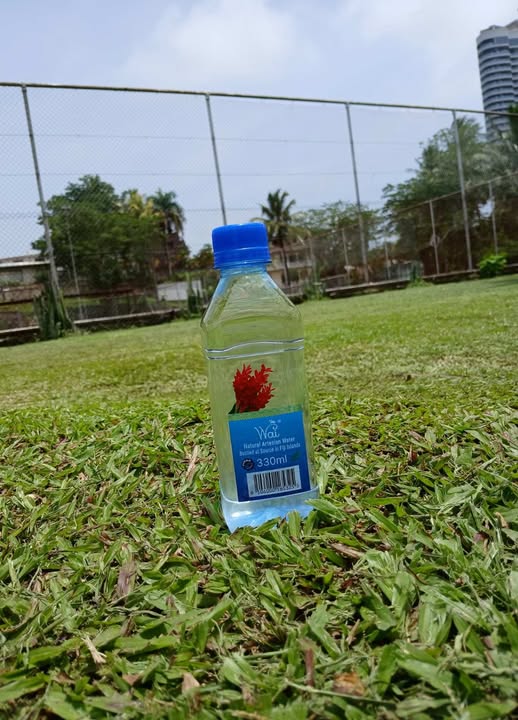 Out and About

#Wai #WaiFiji #TeamFiji
