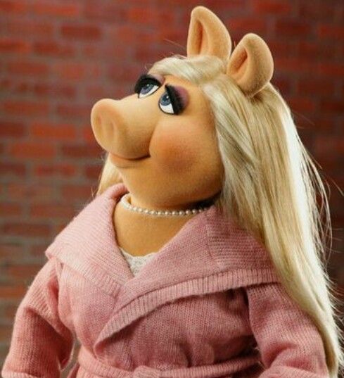 YHanmul's tweet photo. Why is he giving Miss Piggy kinda vibes tho? https://t.co/dd9MjEAR9t