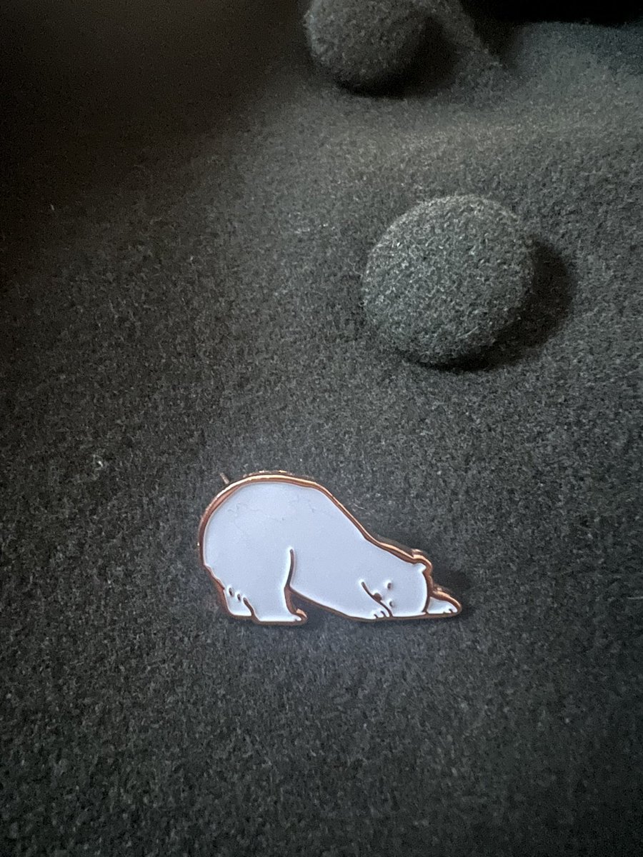 「ニットに似合うピンズたちも個展に並びます(ラッパクマのみないです)きらりと輝くゴ」|ももろ　4／20発売絵本「パンダのパクパクきせつのごはん」のイラスト