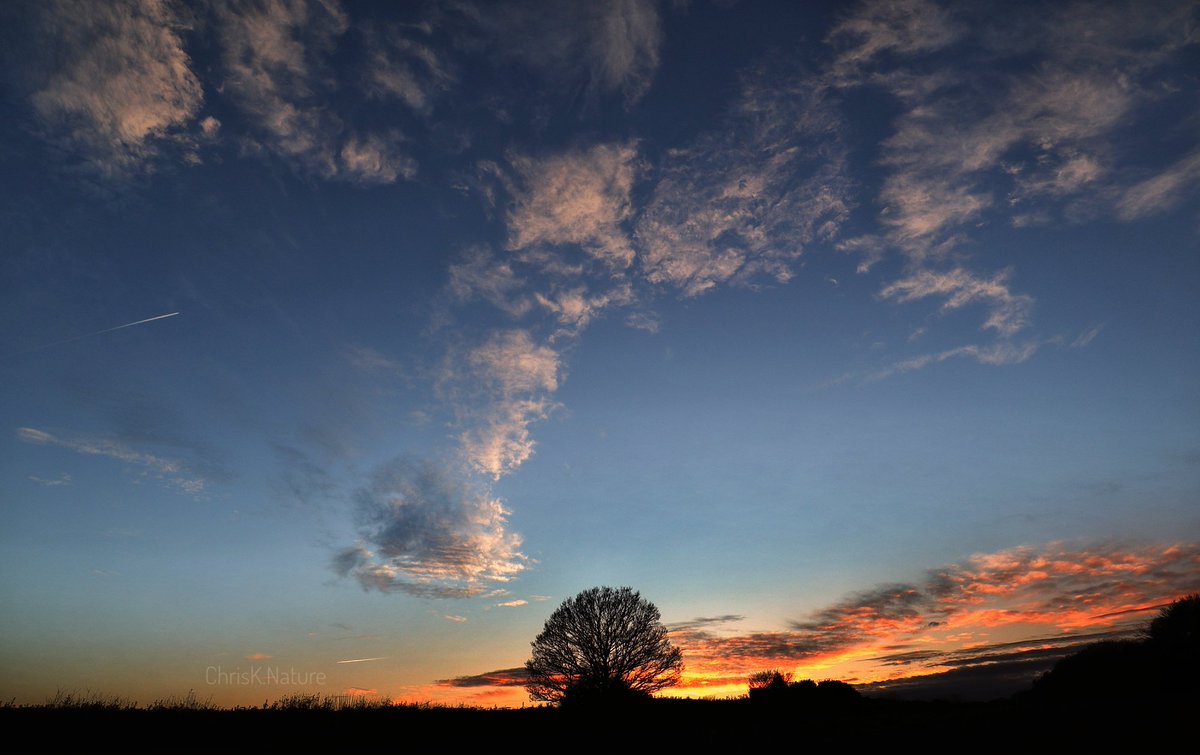 ChrisK.Nature (@chrisk_nature) on Twitter photo 