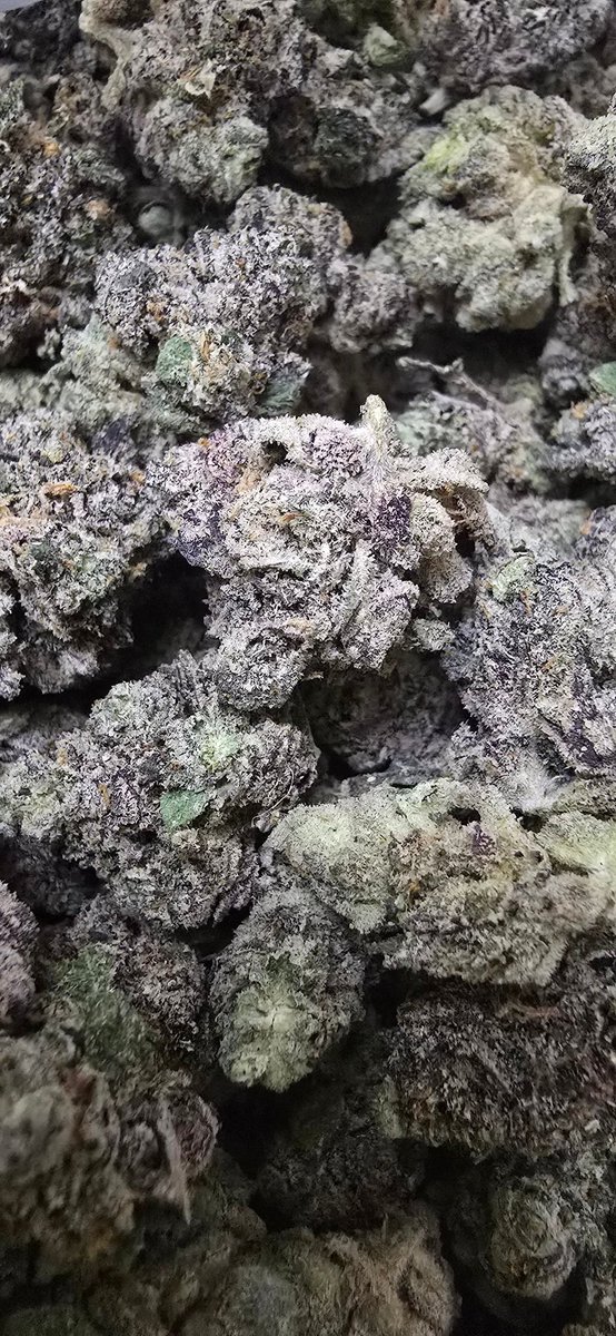 AlphaDaddy135's tweet photo. #grower #weedseller #weedlife #weed #packs #magicmushrooms
#Michigan #detriot #cronic
Who needs a 🔌... DM me https://t.co/VZ3rfVvS49