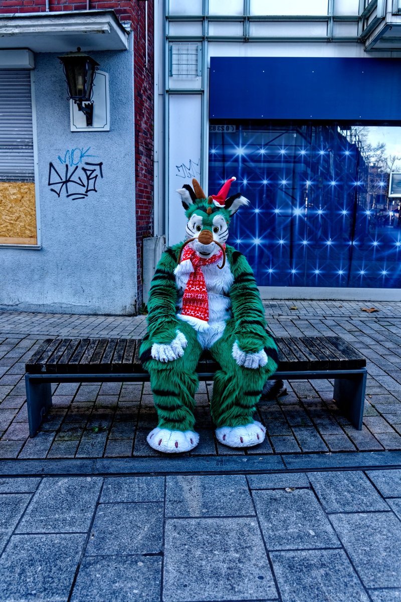 Slowly realizing that I'll be home alone for the first time this Christmas.

📷 <a href="/weiser_melanie/">Dragoneye</a> 
🪡 <a href="/ArendStudios/">Arendstudios</a> 
🔎 #FursuitFriday