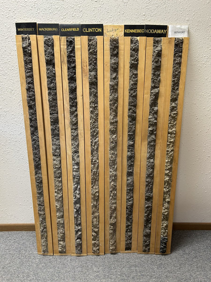 Here’s another thing to share for #WorldSoilDay… this is one of the sets of soil monoliths that Mrs. Purdy’s class at Winterset H.S. made years ago!  

Names = soil series (not the location). 

You can learn more about Madison County’s soils here: madison-swcd.org/madison-county…