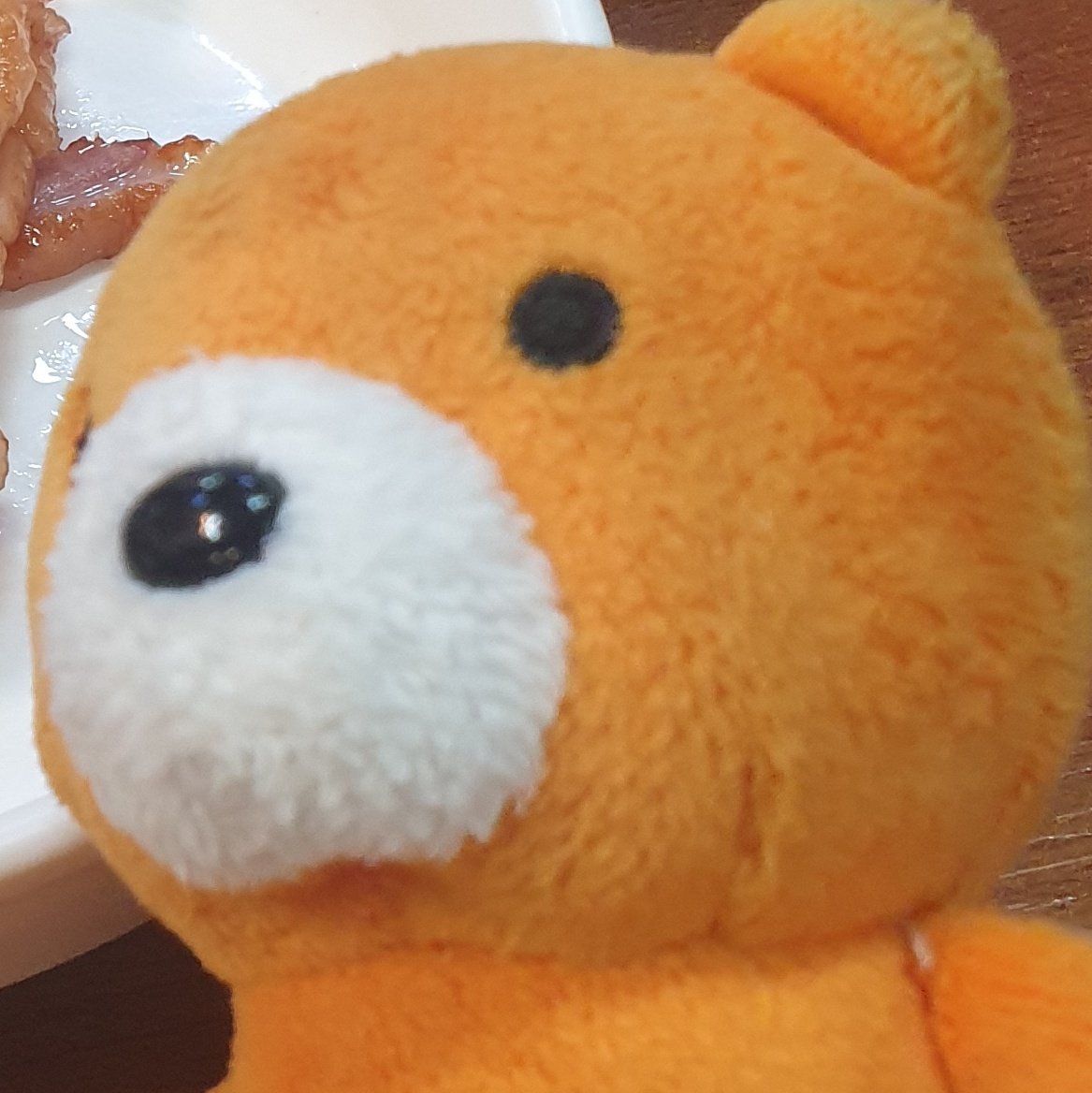 보카로삐TMI tweet media